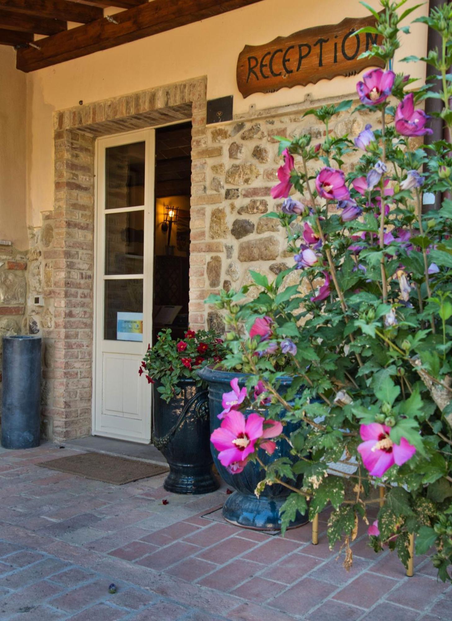 Agriturismo Biologico Diacceroni Villamagna (Pisa) Exterior foto