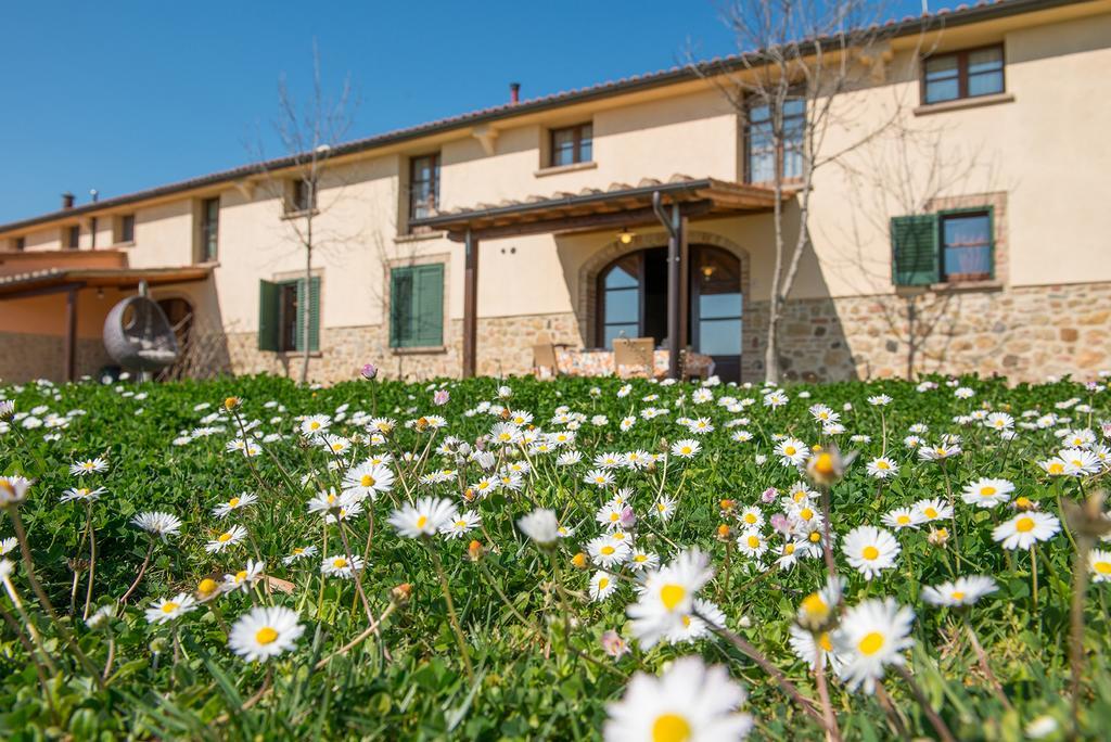 Agriturismo Biologico Diacceroni Villamagna (Pisa) Exterior foto